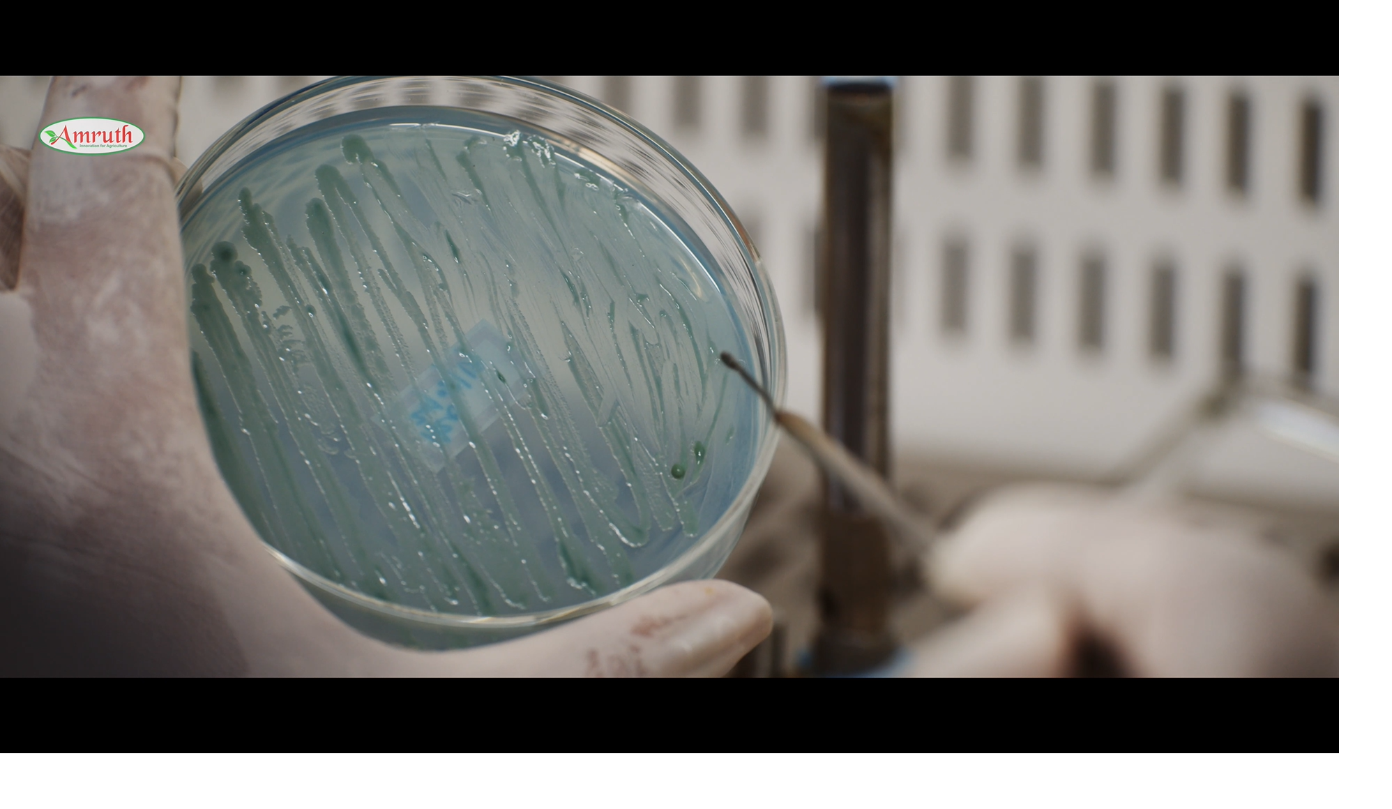 microbial